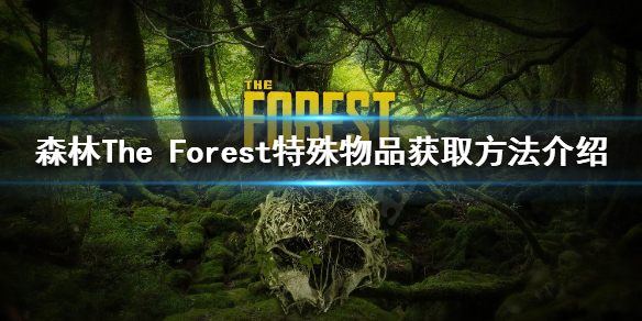 森林特殊物品有哪些 森林The Forest特殊物品获取方法介绍