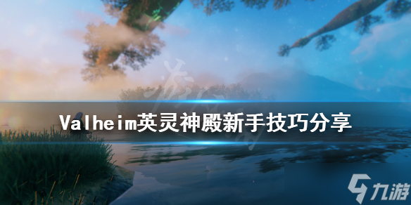 《Valheim英灵神殿》新人有什么技巧 新手技巧分享_Valheim英灵神殿