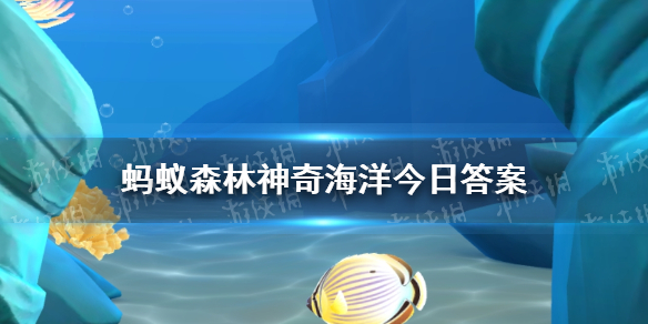 组成海岸卫士的红树林是不是某一种树呢 支付宝神奇海洋9月19日最新答案