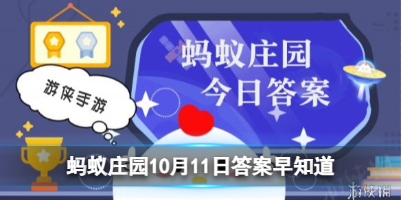 路上遇到导盲犬蚂蚁庄园 路上遇到导盲犬可以投喂食物和抚摸吗