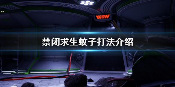 禁闭求生蚊子打法介绍 禁闭求生蚊子怎么打