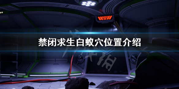 禁闭求生白蚁巢穴在哪 禁闭求生白蚁穴位置介绍