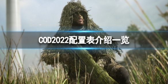 COD2022配置表怎么样-配置表介绍一览