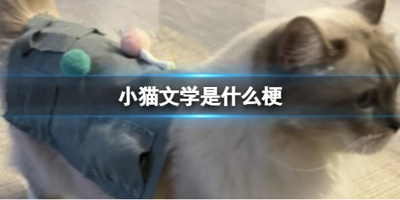 小猫文学语录 小猫文学是什么意思