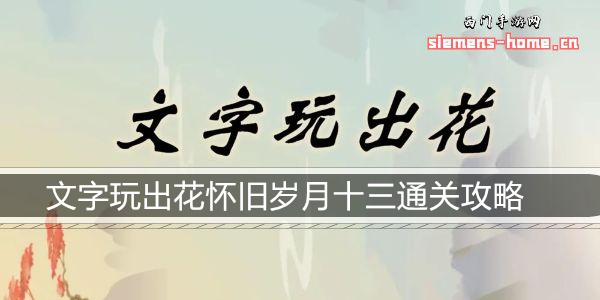 文字玩出花怀旧岁月十三通关攻略