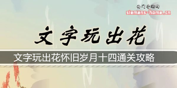 文字玩出花怀旧岁月十四通关攻略