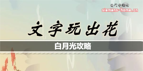 文字玩出花白月光怎么过