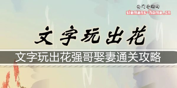 文字玩出花强哥娶妻通关攻略