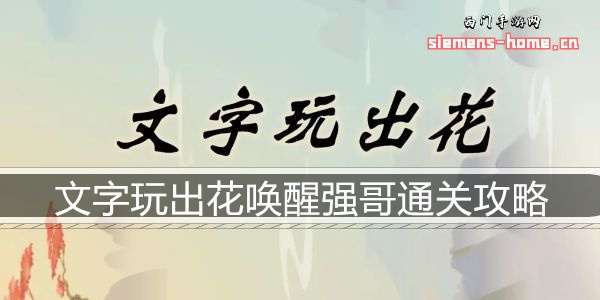 文字玩出花唤醒强哥通关攻略