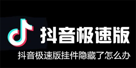 抖音极速版挂件隐藏了怎么办