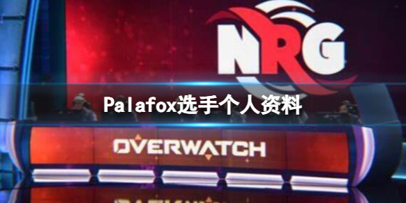 《英雄联盟》Palafox选手个人资料一览