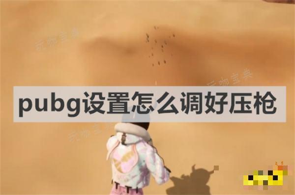 《pubg》设置怎么调好压枪？压枪设置推荐