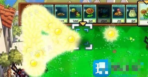 植物大战僵尸秘籍无限制阳光-pvz无限阳光指令