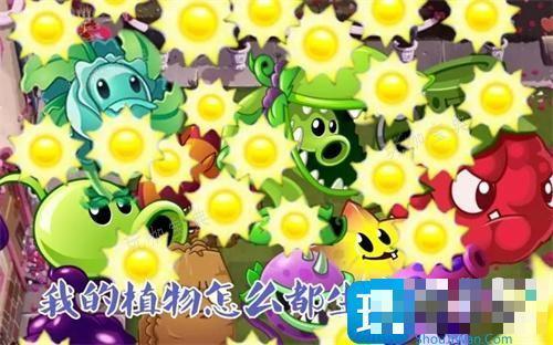 植物大战僵尸秘籍无限制阳光-pvz无限阳光指令