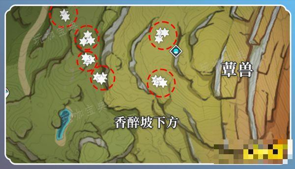 《原神》草神突破材料在哪收集？纳西妲突破材料采集路线