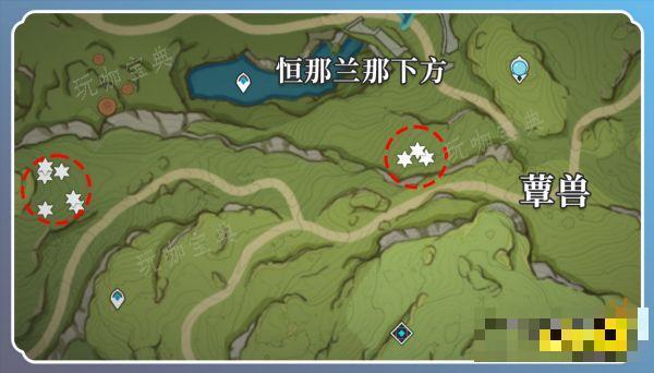 《原神》草神突破材料在哪收集？纳西妲突破材料采集路线