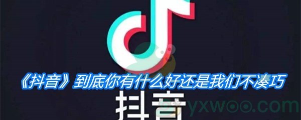 《抖音》到底你有什么好还是我们不凑巧歌曲分享