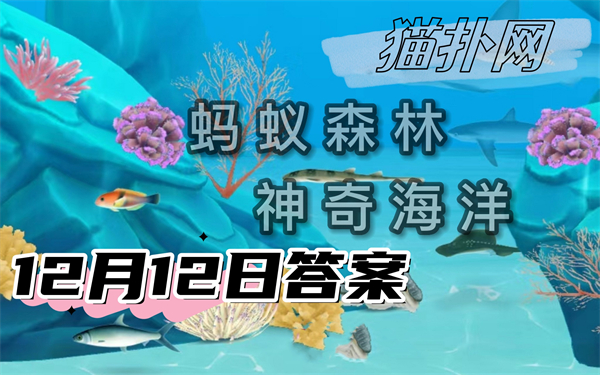 蚂蚁森林神奇海洋12月12日答案2024-以下哪种海洋动物能在海面上短暂飞行