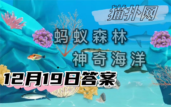 蚂蚁森林神奇海洋12月19日答案2024-猜一猜花园鳗之所以得名是因为酷似