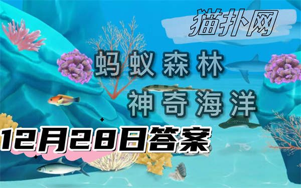 神奇海洋12月28日答案2024-以下哪种海洋生物看起来就像是海底绽放的烟花