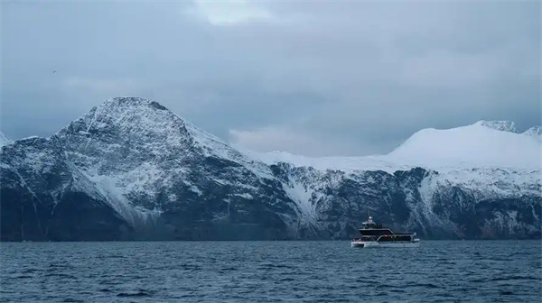 神奇海洋1月18日答案2025-北极鳕鱼主要生活在以下哪个海洋区域