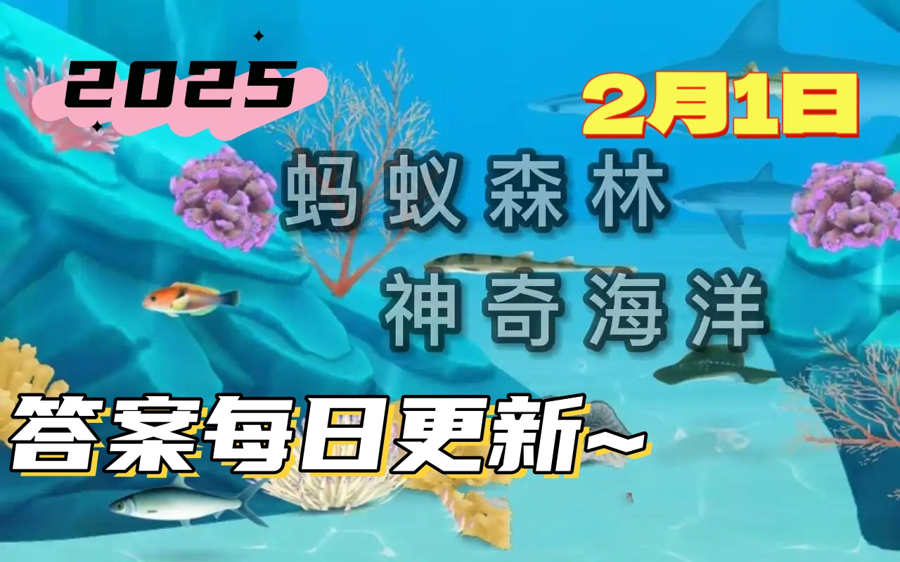 神奇海洋2月1日答案2025-猜一猜象海豹换毛时通常会