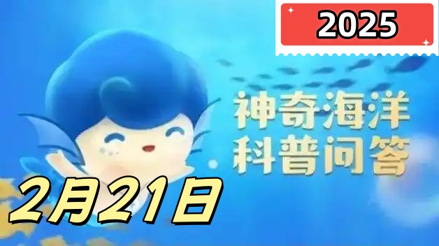 海豚的声呐系统位于哪里-神奇海洋2月21日答案最新2025